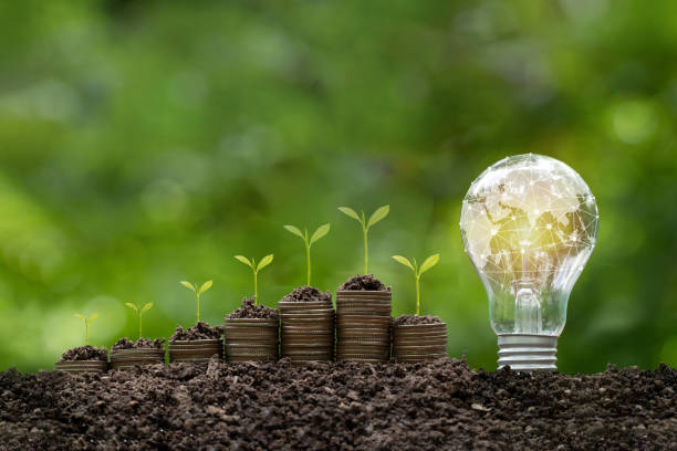 istock The world map with network connection is on a light bulb that located on the soil and plants grow on stacked coins. Concept of Green business, Sustainable development goals, Renewable energy. 1500498665
