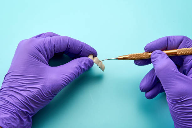 istock Close-up of a ceramic denture hands while a dental technician is working. 1500498954