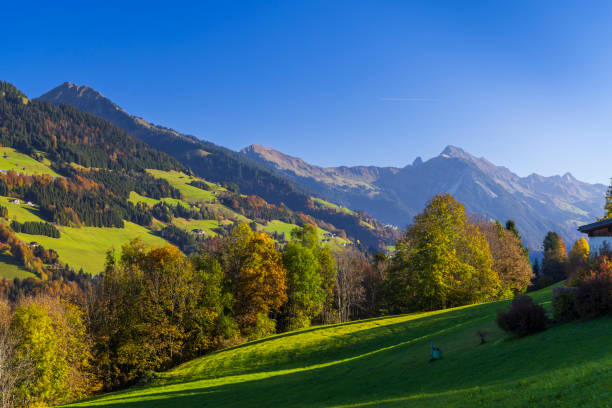 istock Typical landscape near Sankt Gerold and Bludenz, Bregenzer Wald, Bregenz district, Vorarlberg, Austria 1500499051