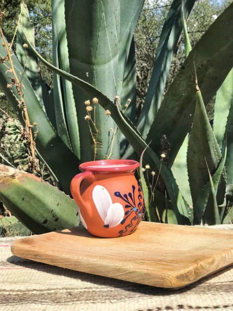 istock Pulque, the Mexican drink, served in an earthenware cup amidst nature's vibrant palette 1500499270
