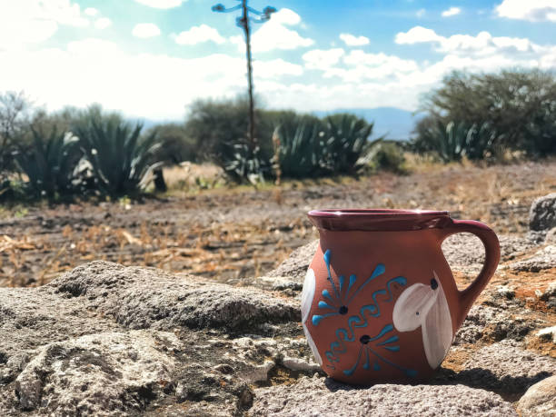 istock Pulque: a refreshing Mexican drink, sipped under the sky's cloudy embrace 1500499276