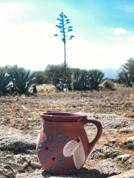 istock Pulque: a refreshing Mexican drink, sipped under the sky's cloudy embrace 1500499289