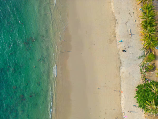 istock Aerial view white sand beach palm tree turquoise water 1500500175