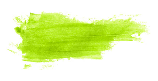 Green brush isolated on white background. Lime green.