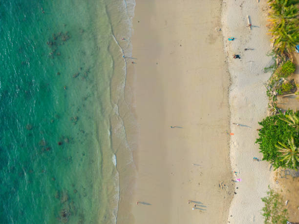 istock Tropical sea white sand beach aerial view summer 1500500705