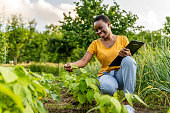 Black woman, farmer and with clipboard for harvest, vegetables and check plants growth outdoor.
