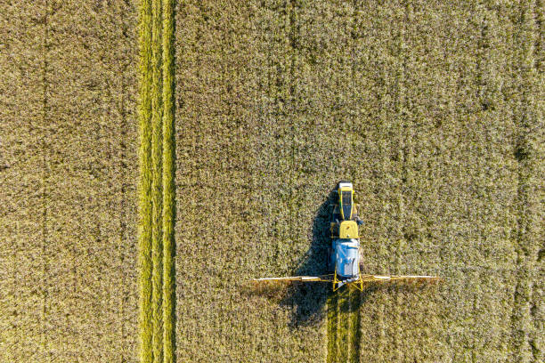 istock Agricultural crops sprayer in a wheat field seen from above 1500501861