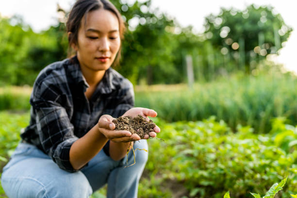 istock Count your wealth by the richnesses of your soil 1500501864