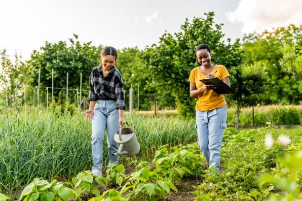 istock Cheerful Asian gardener watering plants 1500501869