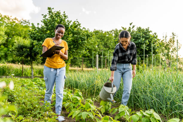 istock Woman Watering Vegetable Garden WIth Watering Can 1500501873