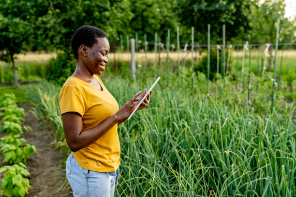 istock Smart farming and precision agriculture 1500502065