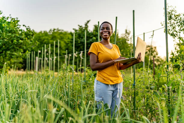 istock Smiling agricultural technician with a laptop is analyzing vegetable garden. 1500502169