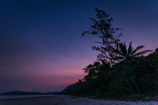 Palm Tree and Beach under a Starry Night Sky with Romantic Evening Twilight, Queensland, Australia