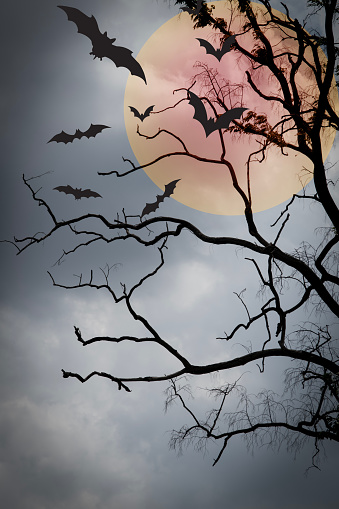 happy halloween, halloween night background, Halloween Background, holloween party. Happy halloween card template design. moon, tree, bat.
