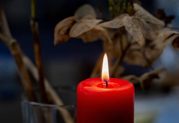 bougie allumée avec des fleurs séchées floues en arrière-plan. concepts de méditation silencieuse. - candle memorial vigil praying candlelight photos et images de collection