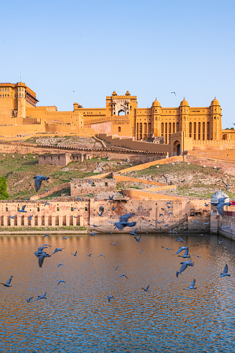 A picture of the Amber fort with some birds in Jaipur, India