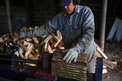 Caucasian senior man splits wood with a hydraulic log splitter. He wears a denim work shirt, work gloves and ear protection. Defocused wood pile in background, bark texture, wood splits in his hand.