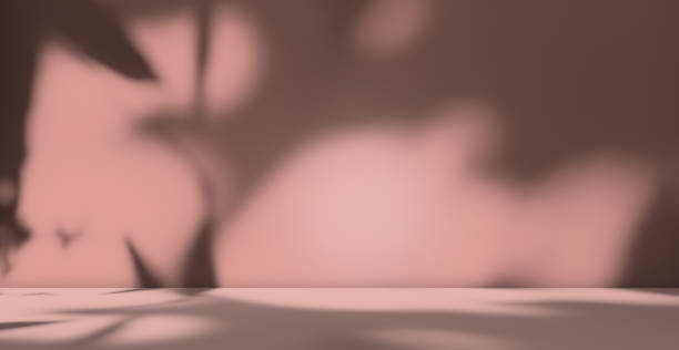 istock Pink Peach Color Studio Summer Background,Shadow Leaf Spring on Table Product Cosmetic Beauty,Abstract Overlay Light Flower on Wall Floor 3d Backdrop,Empty Texture blur Cement Marble Loft Kitchen 1500519948