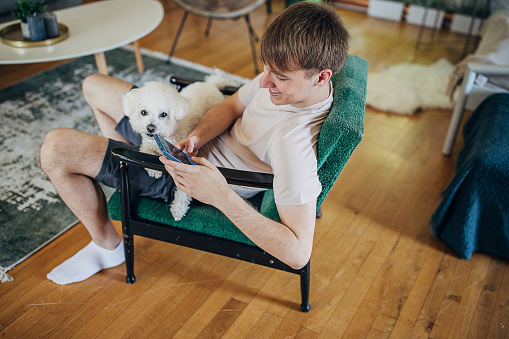 Young man surfing the net on smart phone and spending time with his Maltese dog