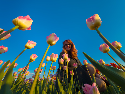 A woman admiring beautiful tulips in a field at sunset.