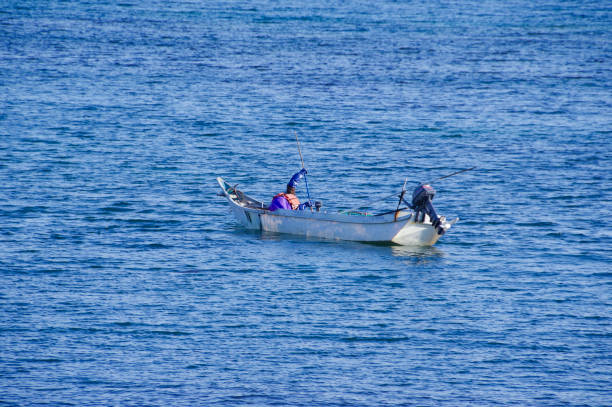 Fisherman collecting kelp in Wakkanai