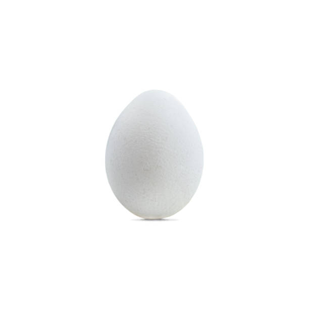 istock white chicken egg on a white background, isolated on a white background 1500525844
