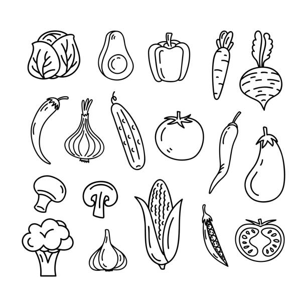 Doodle Veggies Set. Line Art Vegetables Illustration With Tomato, Cucumber, Mushrooms, Pepper, Onion, Cabbage etc. Doodle Veggies Set. Line Art Vegetables Illustration With Tomato, Cucumber, Mushrooms, Pepper, Onion, Cabbage etc. red bell pepper stock illustrations