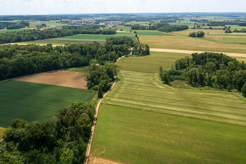 Green landscape with forests and agricultural fields, aerial view.