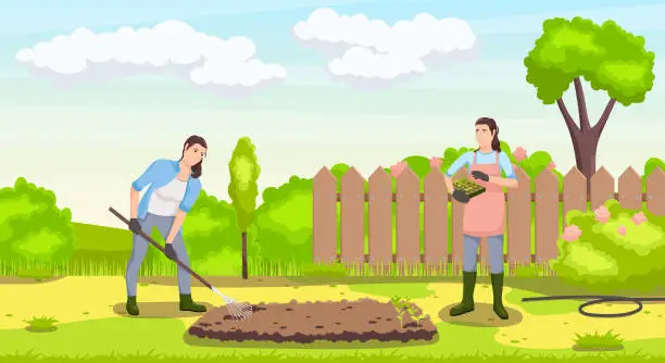 Vector illustration of Farmer women in backyard garden with cultivated soil rake. Brown color fence and blue sky with clouds on background. Girls in process of planting seeds of vegetables garden plants. Vector illustration