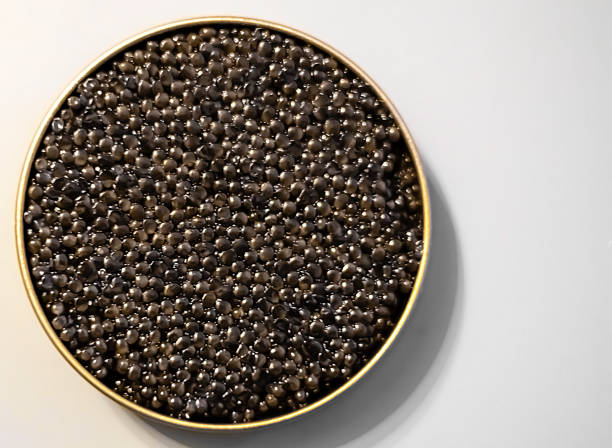 istock Beluga black caviar, sturgeon in a metal can on the table. Close-up, blur, soft focus, selective focus. 1500545129
