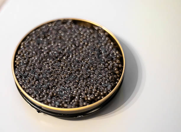 istock Beluga black caviar, sturgeon in a metal can on the table. Close-up, blur, soft focus, selective focus. 1500545132