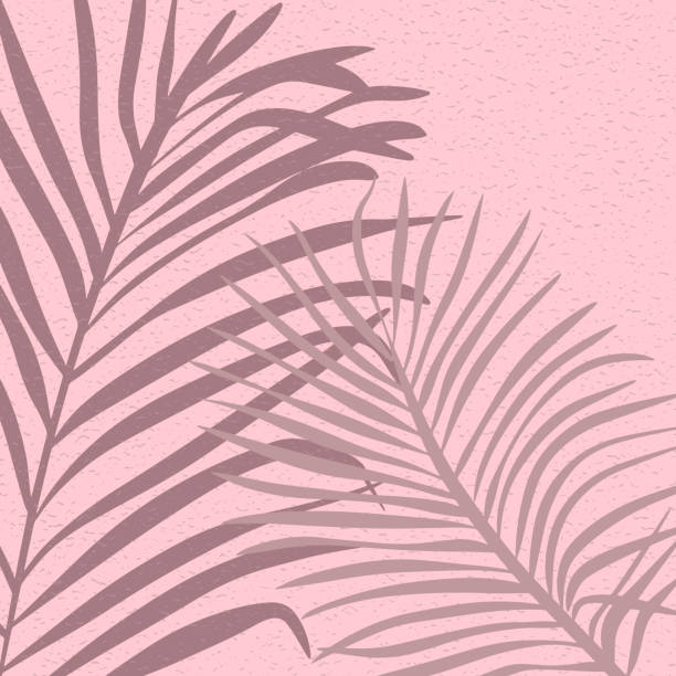 istock Palm tropical shadow drawn. Botanical shadow on the sand. Silhouette shadow of palm leaves 1500553975