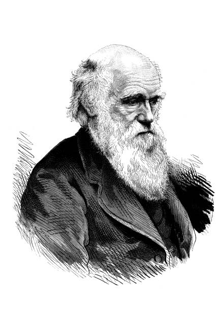 charles darwin - charles darwin engraved image old fashioned etching stock-grafiken, -clipart, -cartoons und -symbole