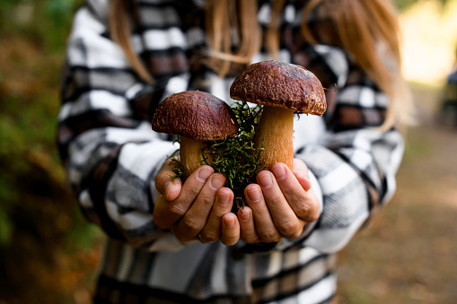 Young blonde woman in checkered shirt holding in hands mushroom harvest freshly picked in the forest