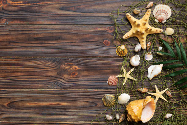 istock Summer time concept Flat lay composition with beautiful starfish and sea shells on colored table, top view with copy space for text 1500560457