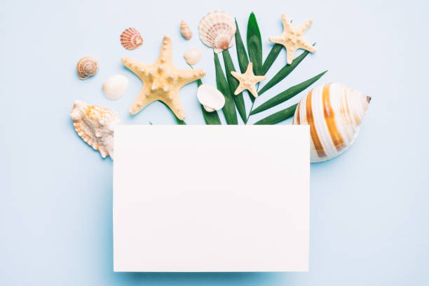 istock Summer time concept with blank greeting card and blank white paper on colored background. Seashells from ocean shore in the shape of frame separated with space for text top view 1500560478