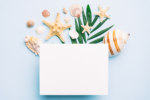 Summer time concept with blank greeting card and blank white paper on colored background. Seashells from ocean shore in the shape of frame separated with space for text top view.