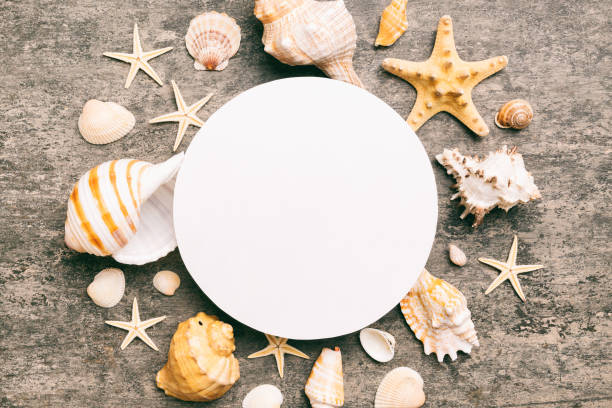 istock Summer time concept with blank greeting card and blank white paper on colored background. Seashells from ocean shore in the shape of frame separated with space for text top view 1500560485
