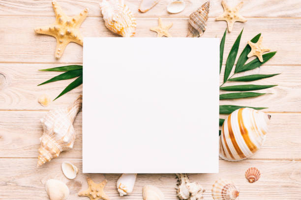 istock Summer time concept with blank greeting card and blank white paper on colored background. Seashells from ocean shore in the shape of frame separated with space for text top view 1500560499