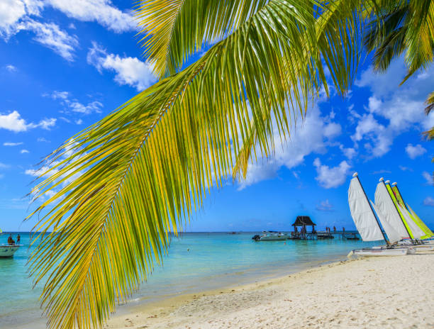 istock Beautiful seascape of Mauritius Island 1500560775