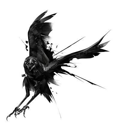 art graphical raven in flight on a white background