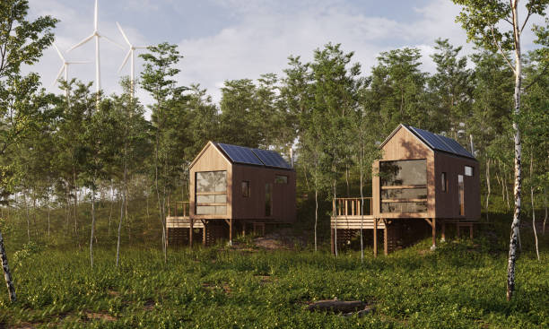 Energy efficient houses with solar panels in forest