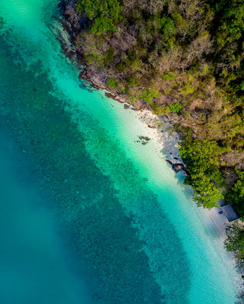 istock Aerial view, top view, amazing nature background. 1500566732