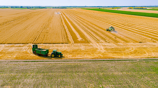 Zrenjanin, Vojvodina, Serbia – June 29, 2022: Aerial view over two agricultural harvesters, combines as they cutting and harvesting mature wheat on farm fields.\nTractor with two trailers is ready for transshipment