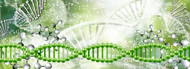 istock image of stylized models of DNA chains on a blurred green background 1500572091