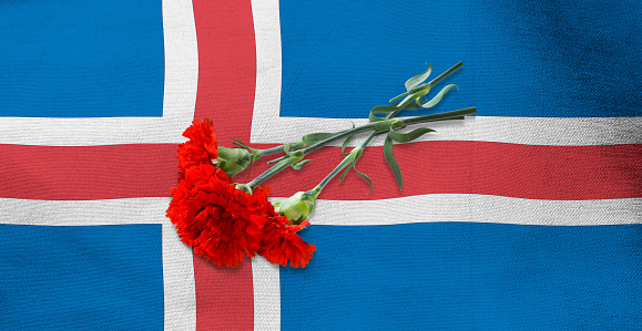 Image of three red carnations lying on the flag of Iceland