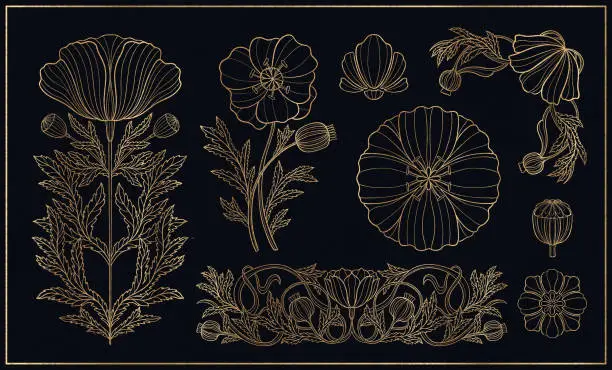 Vector illustration of Floral poppy plant in art nouveau 1920-1930. Hand drawn in a linear style with weaves of lines, leaves and flowers.