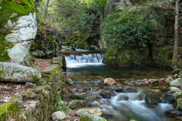 istock Small waterfall in a pool. Water stream. Spring of river in the forest 1500575663