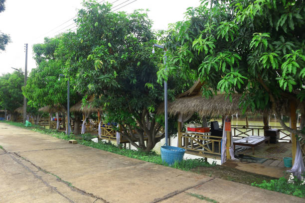istock Tropical bamboo restaurant in the park with green trees and plants. 1500577663
