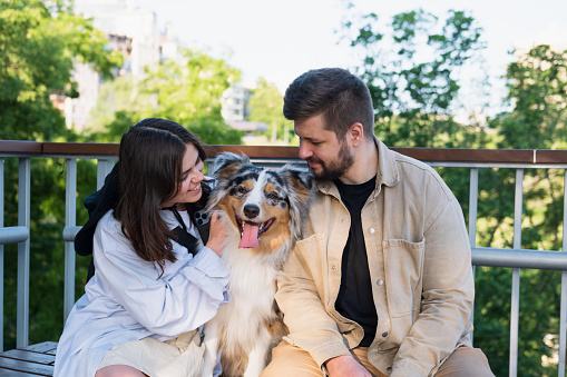 Young happy woman and man sitting next to their cute aussie dog in a park. Blue merle australian shepherd dog in urban park area next to owners, taking pets for a walk in the city
